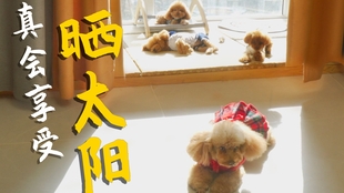 无码毛片免费观看高清无码毛片在线看