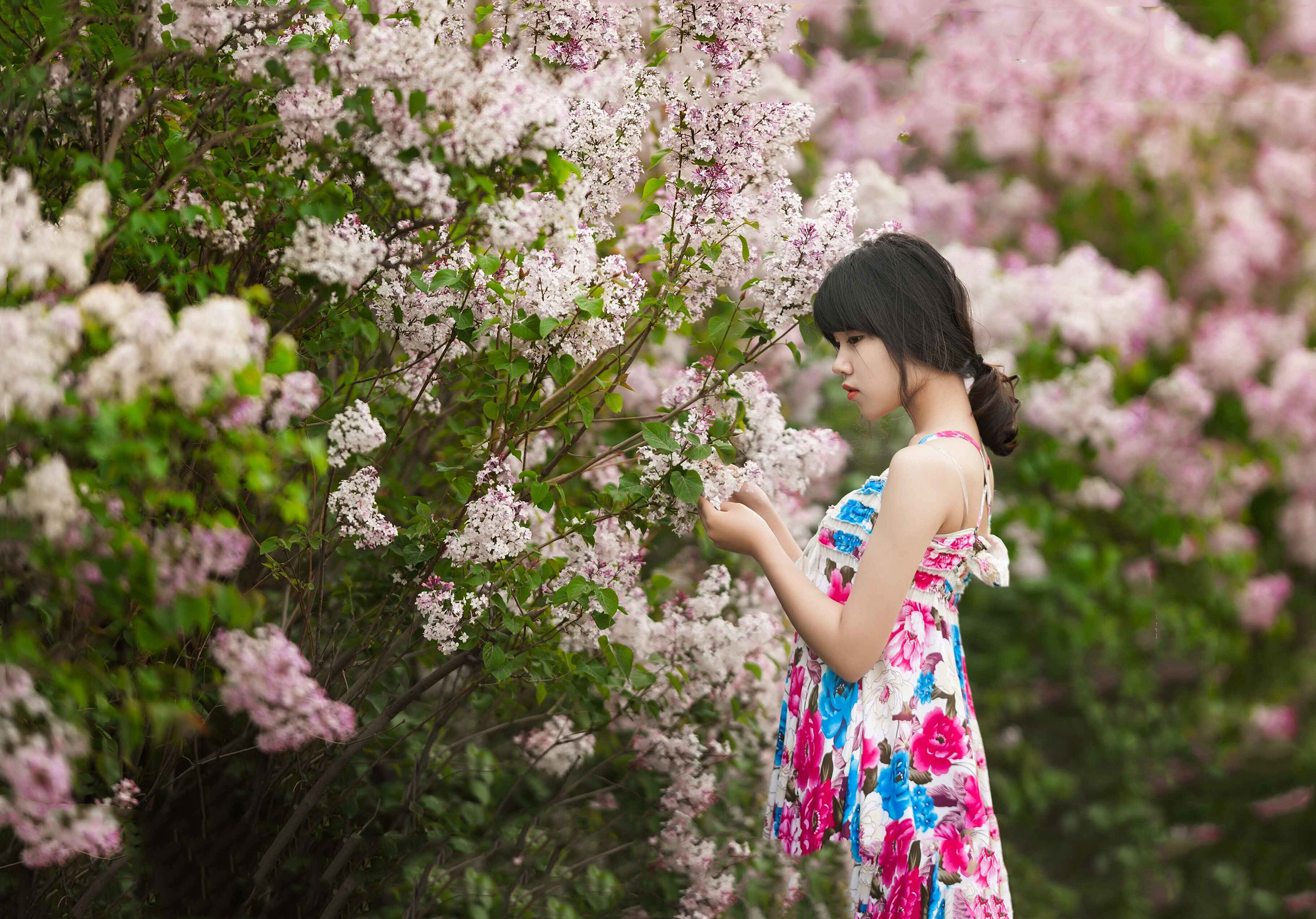 丁香伊人婷婷绽放优雅芬芳，魅力动人，气质如诗如画