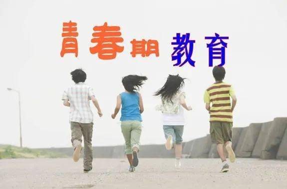 2.初中生兄弟互相导管立小说浜青春成长故事，兄弟情深，探索自我，勇敢前行