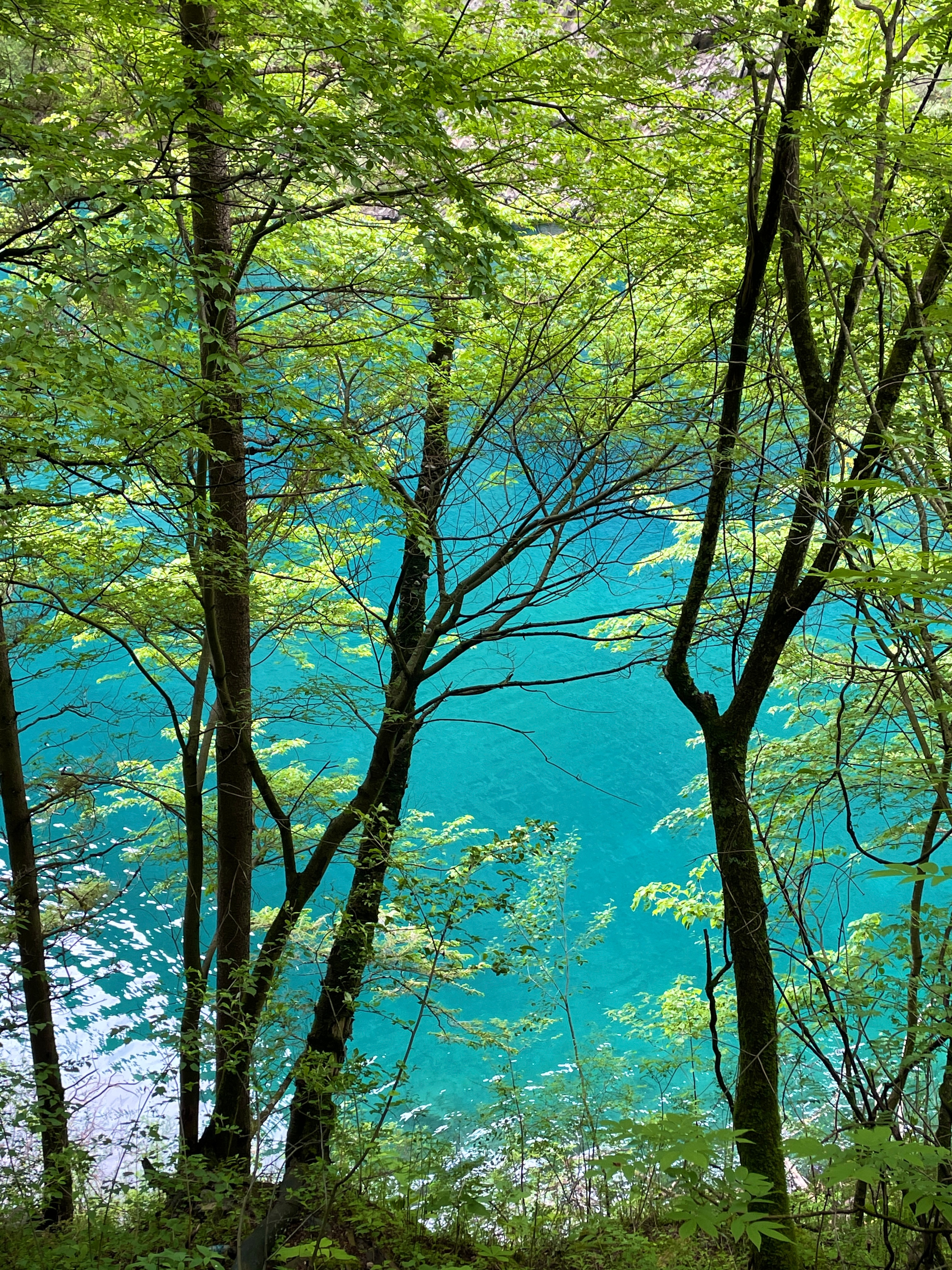 乡村毛片浜探秘，发现隐藏美景，感受淳朴风情与自然魅力