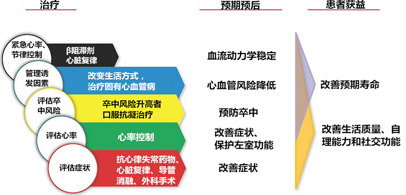 四川BWBWBWBWBwBWB区别解析与比较分析，深入探讨，全面了解，掌握要点