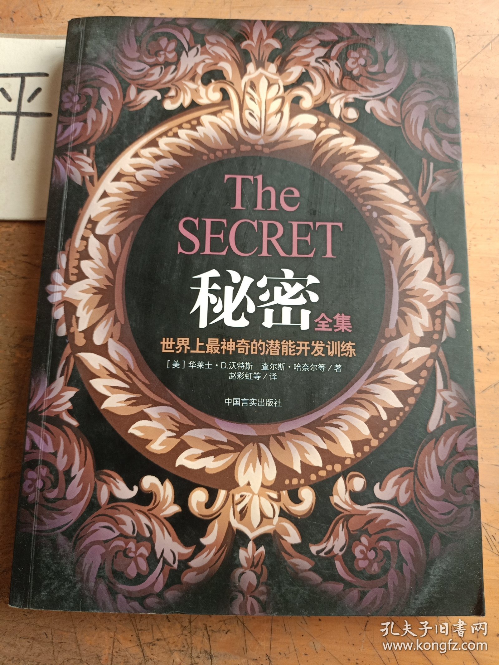 无码性视频真实拍摄技巧，提升观看体验，揭秘高清制作秘密