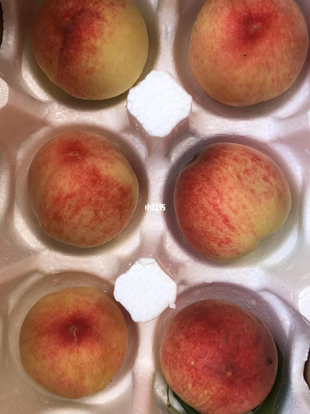 麻豆精品久久久久久久99蜜桃新鲜上市，甜蜜多汁，限时优惠抢购中