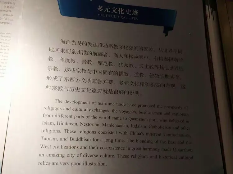 久久久久久久艹引发的网络热议，探索其背后文化现象，揭秘流行趋势与用户心理