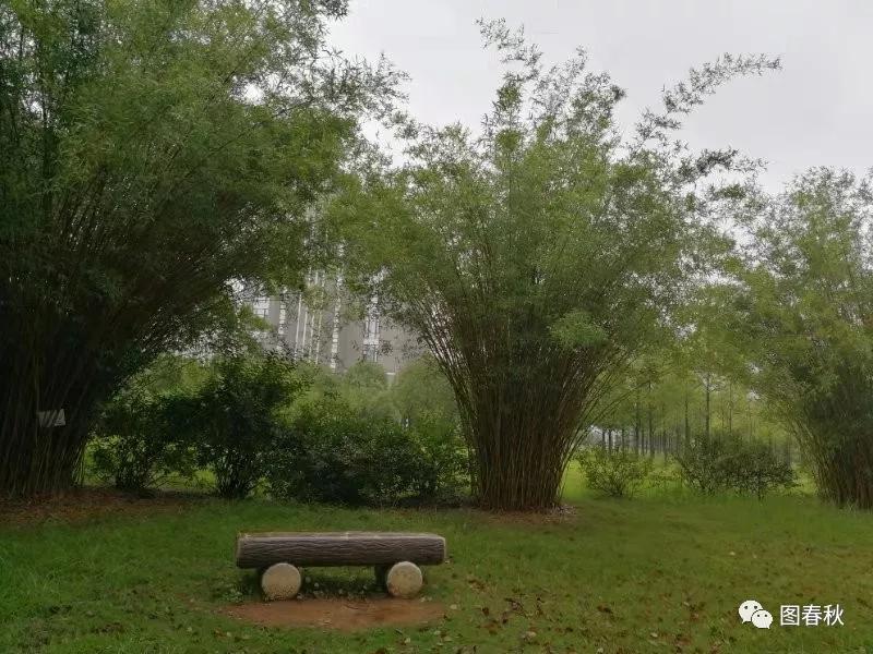 青青青草视频在线观看高清免费，畅享自然美景，感受清新草原风光