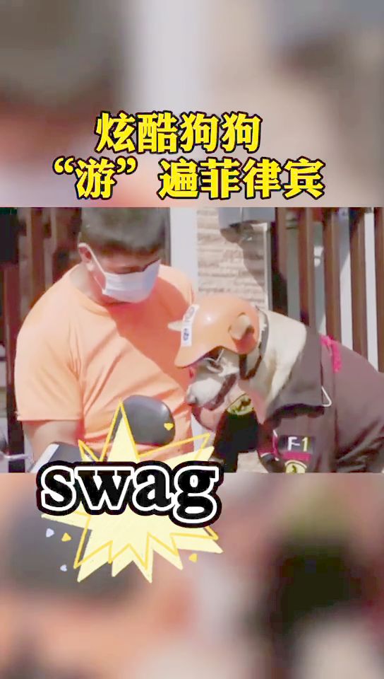 小少妇BBBBBB浓毛浜风情写真，展现独特魅力，吸引无数目光