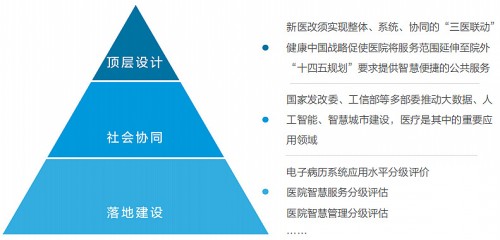农村一级毛长片发展现状与未来趋势，探索创新路径，助力乡村振兴