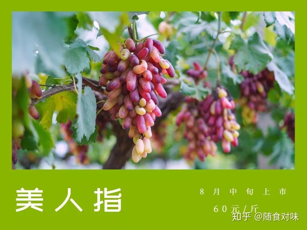 男生困困男人困困樱桃的奇幻冒险，探索神秘果园，发现沉睡力量，解锁青春秘密