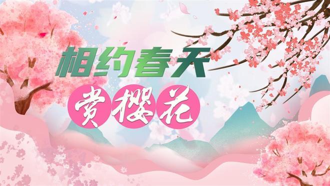 大乳boobS巨大乳BBBB片震撼上线，全网独播，极致视觉盛宴，等你来赏