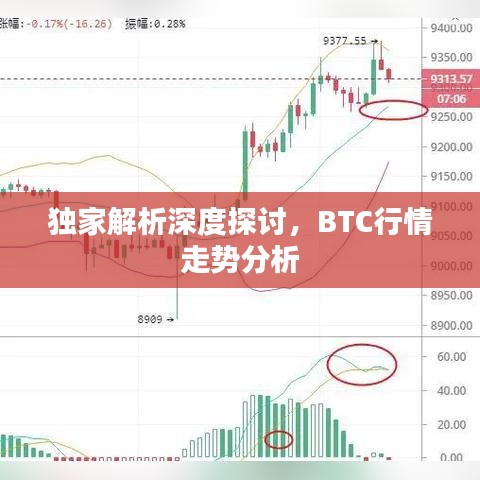 欧美日韩国产成人黑料在线曝光，揭秘隐秘内容，探索真实内幕，独家深度解析