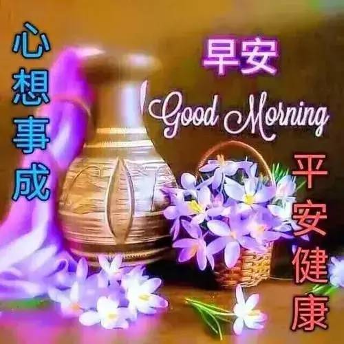 干老奶奶的晚年生活充满温暖与关怀，岁月静好，幸福安康，感恩每一天