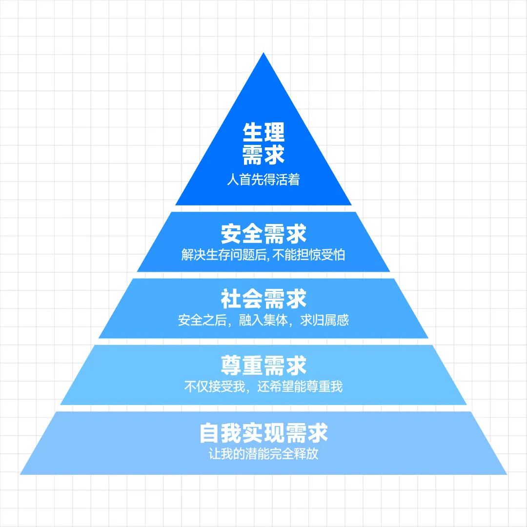 精品五区成人专区上线，探索高品质内容，享受专属会员福利