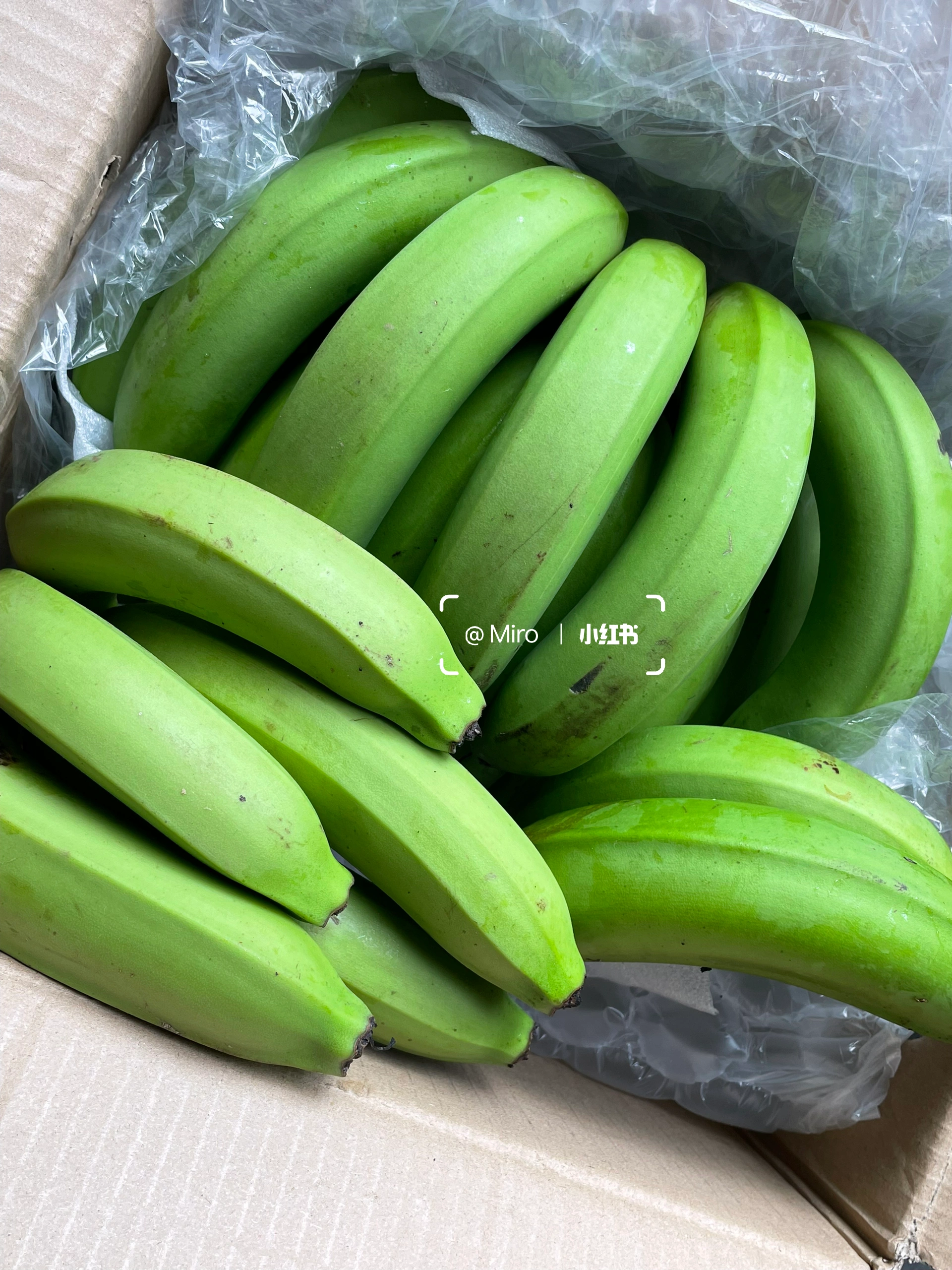 97香蕉青草超人人新鲜上市香甜可口营养丰富老少皆宜