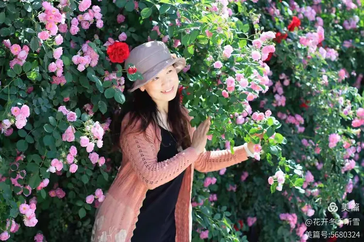 丁香婷婷狠狠爱绽放芬芳，醉人香气弥漫心间，永恒挚恋刻骨铭心
