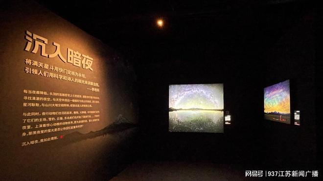 一级av天堂全新上线，探索极致视听盛宴，畅享高清无码体验