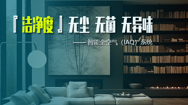 欧美一级国产婷婷热销全球，时尚设计，舒适体验，引领潮流新风尚
