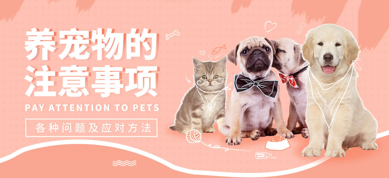 毛多多水多多带来欢乐时光，轻松养宠，快乐生活，享受每一天