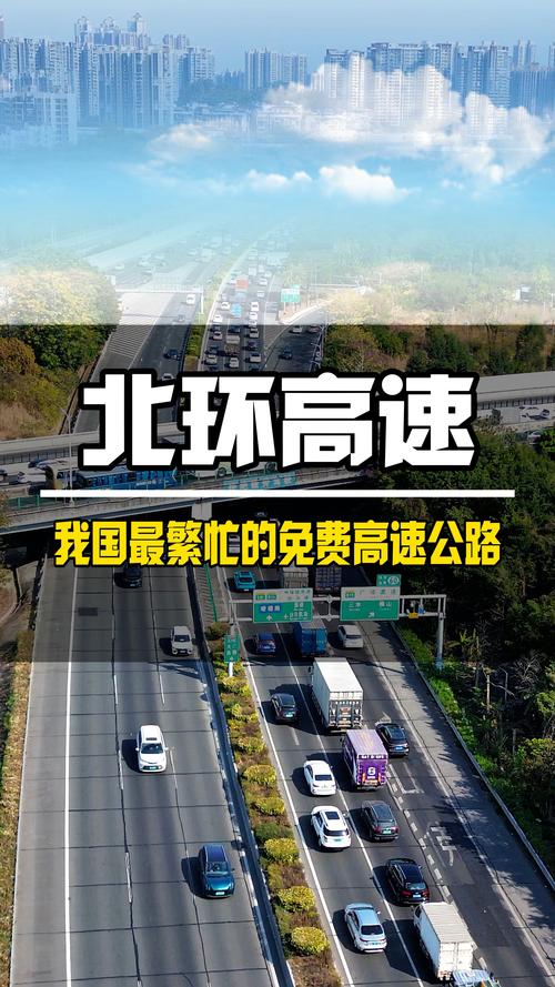 成人色片视频软件下载浜推荐最新热门资源，免费高速下载，安全无病毒