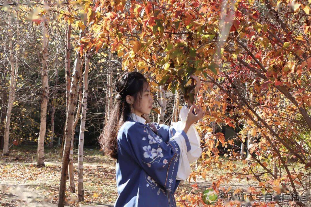 月婷婷久久相伴，共赏美好时光，书写永恒故事