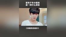 丹祖宗视频合集LVK最新精选，搞笑瞬间全收录，经典片段一网打尽