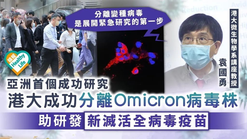 香港做受一级A片添浜震撼上线，全网独家首发，极致体验，限时免费观看