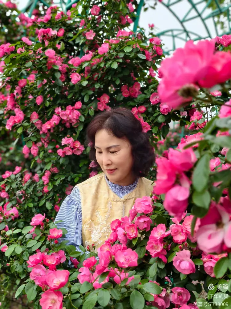 五月丁香花开五婷绽放，芬芳满园，浪漫五月天，邂逅五婷丁香花海
