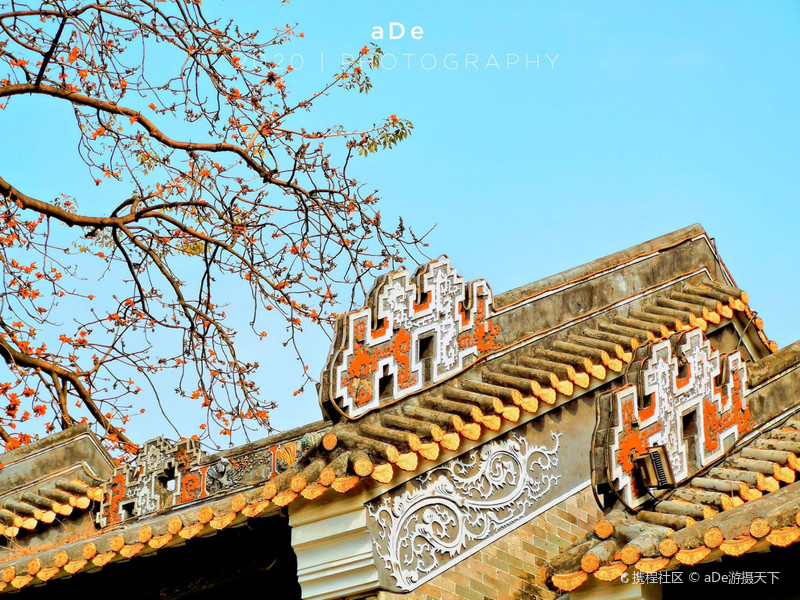 2.广东省龙狮锦标赛，传统与现代融合，展现岭南文化魅力