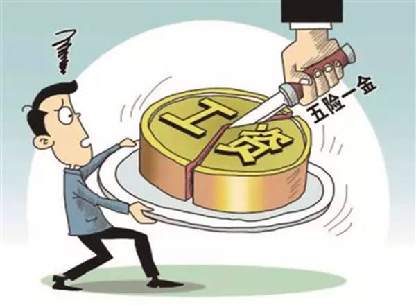 老女人脱精光裸体浜引发热议，网友热议老年女性身体自由，探讨社会审美与年龄歧视