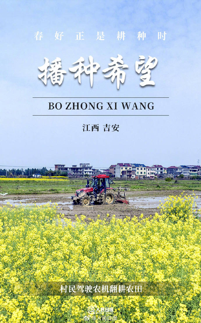 青青草青青干随风摇曳映朝阳,大地披绿装,生机盎然展画卷 青青草青青干随风摇曳映朝阳,大地披绿装,生机盎然展画卷