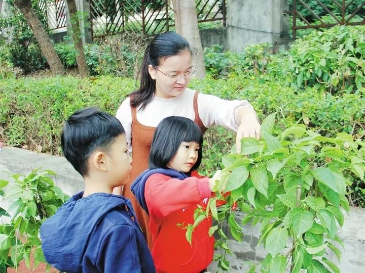 2.草妹妹逼我种花,养草,还逼我学园艺,这日子没法过了
