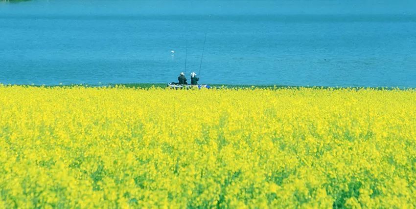 青草视频1清新自然治愈系乡村风景田园生活慢节奏放松心灵