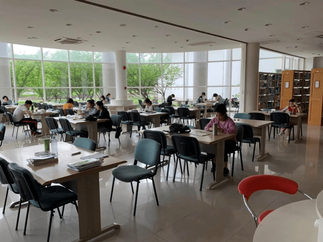 高中TK与VK学习秘籍，提升成绩的关键技巧，掌握高效复习方法