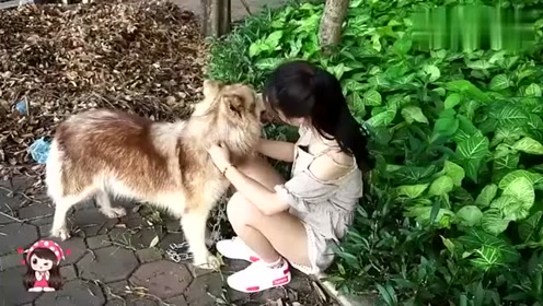 15岁少女与狗狗欢乐互动高清视频,温馨治愈瞬间,记录青春与宠物的美好时光 15岁少女与狗狗欢乐互动高清视频,温馨治愈瞬间,记录青春与宠物的美好时光