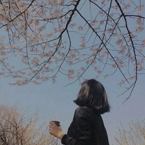 1.成熟韵味40岁女人背影美女头像116