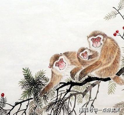 2.二人努力生猴子全程免费看甜蜜备孕指南