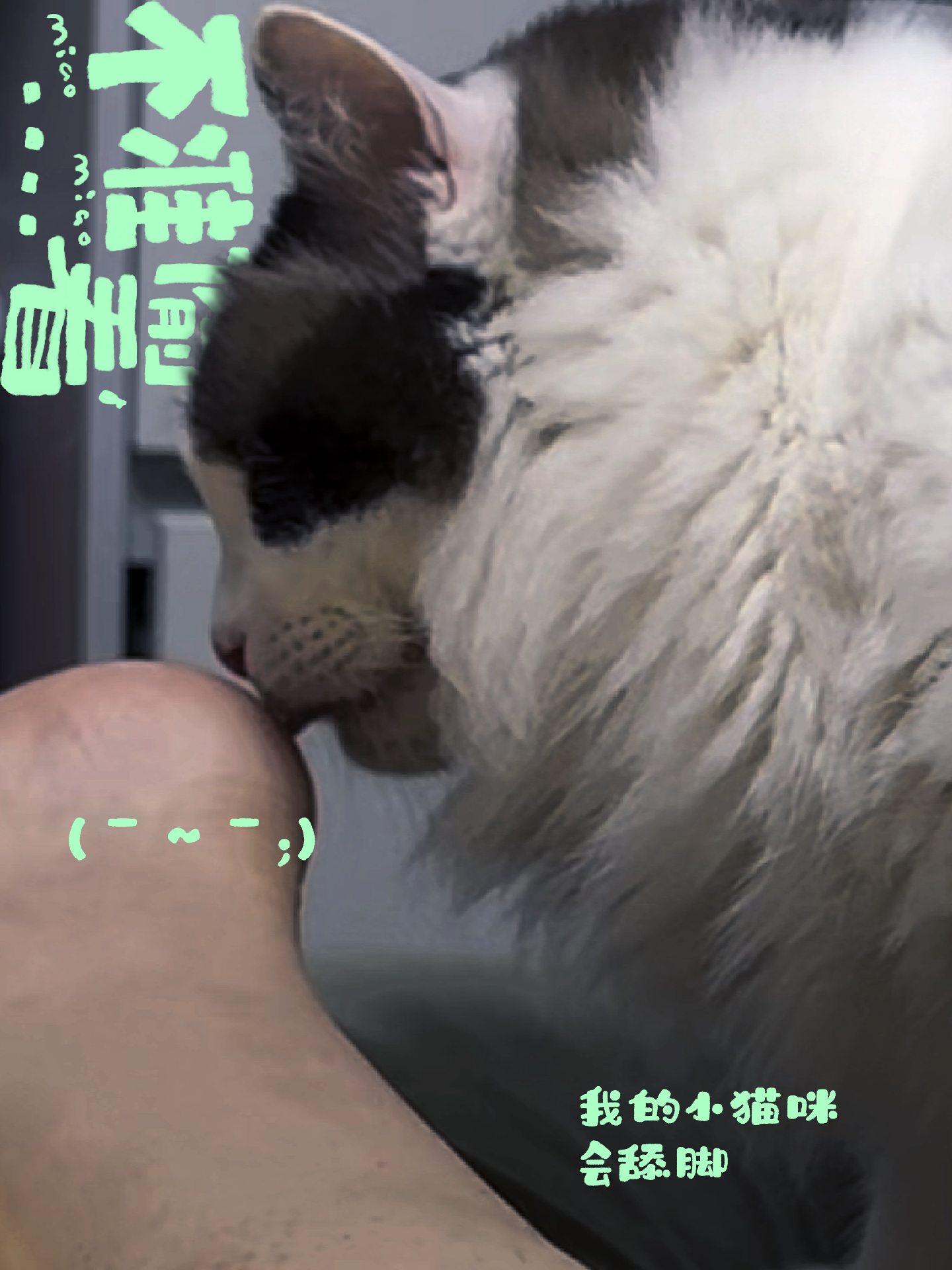 伺候舔脚vk的隐秘技巧与心理分析，探索小众癖好，了解独特需求背后的深层原因
