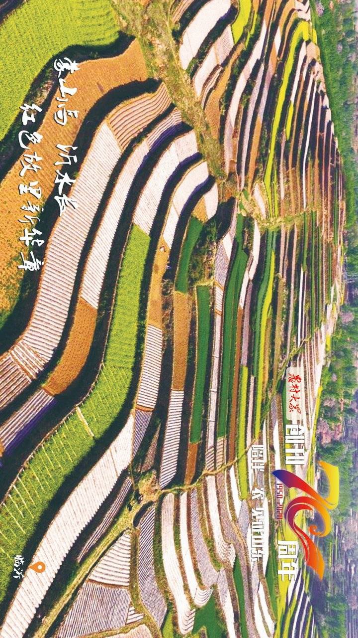 农村AA一级片丰收季，金色麦浪，幸福笑脸，乡村振兴新画卷
