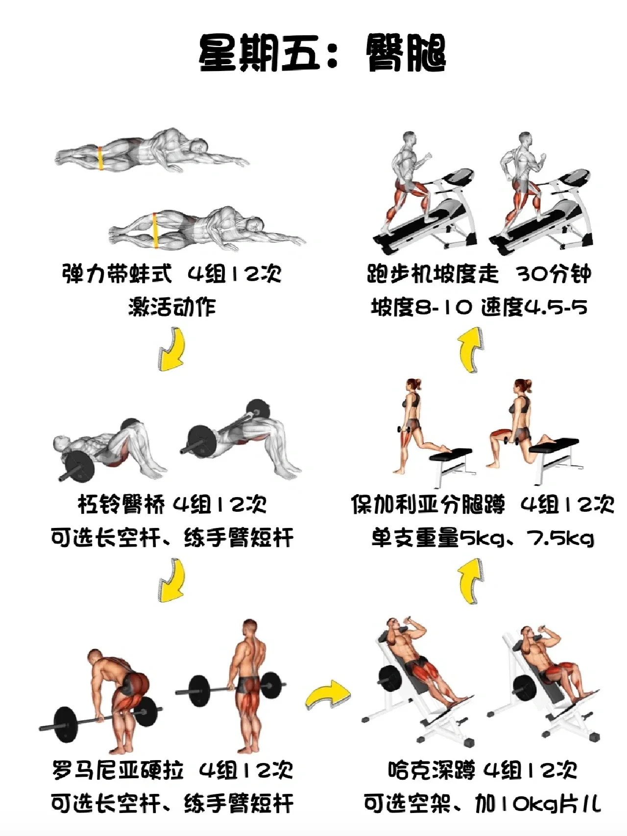 成人VA健身指南，高效训练计划，打造完美身材