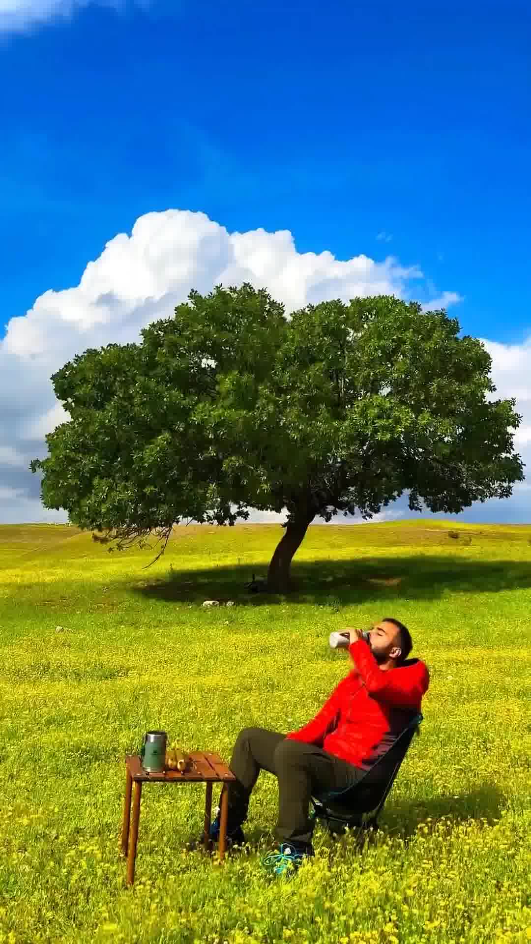 久久青青草原在线免费观看高清完整版，畅享草原风光，感受自然魅力