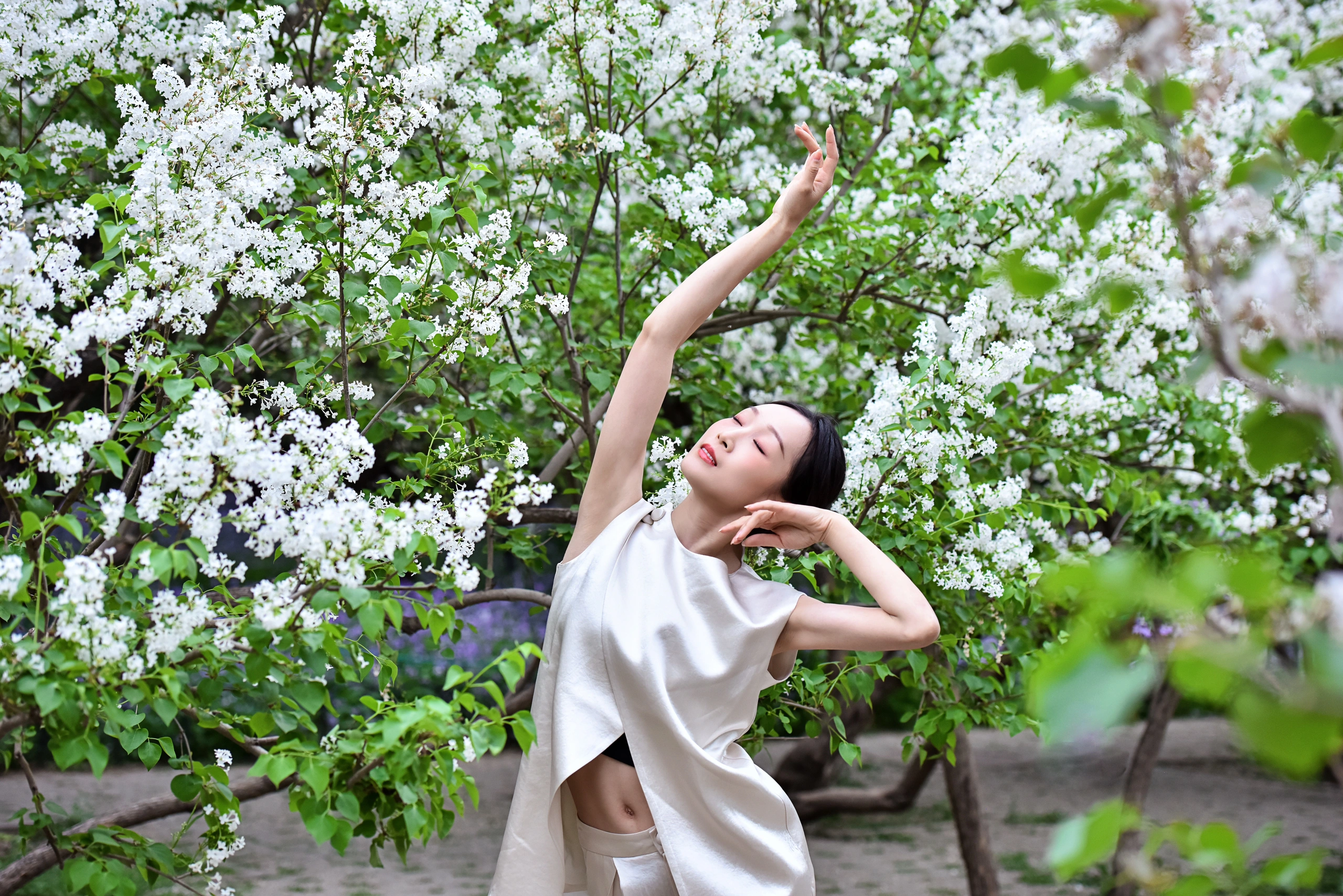 丁香伊人网花香满园情缘绽放，浪漫邂逅，幸福相伴