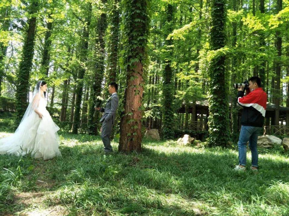 婷婷五月天丁香绽放芬芳，初夏浪漫邂逅，谱写青春动人诗篇