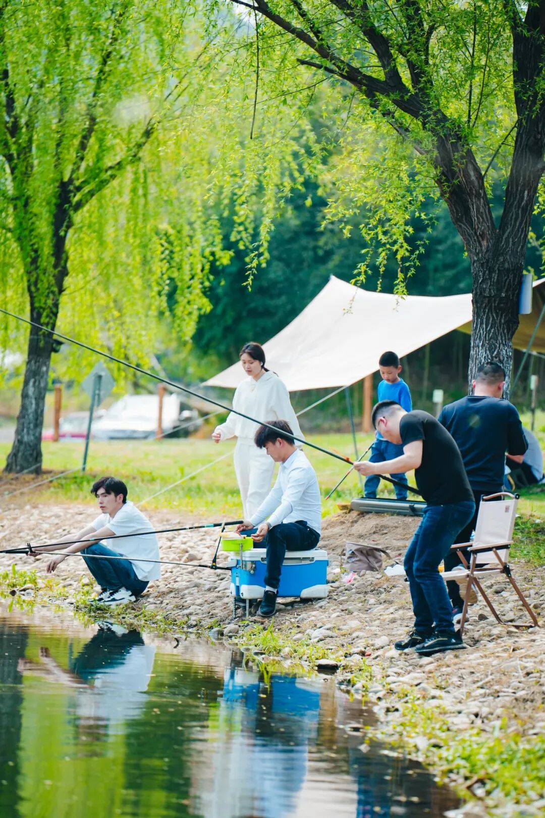 亚洲黄色青青草绽放自然之美，探索春日野趣，感受清新田园风光