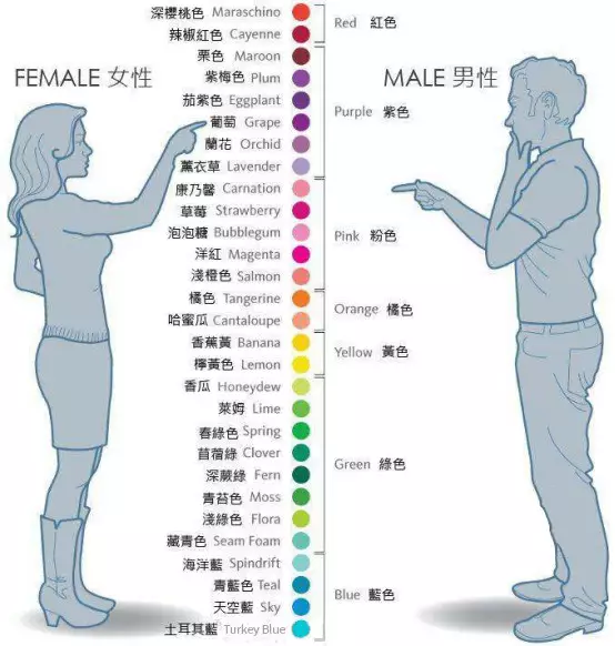 2.性色GVS一区二区特点分析，探索核心区别，了解真实体验差异