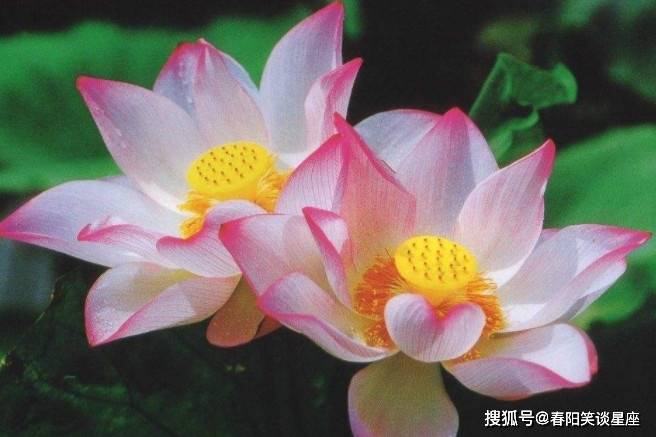 国产老婆温柔贤惠持家有道,美丽大方善解人意,幸福家庭甜蜜温馨 国产老婆温柔贤惠持家有道,美丽大方善解人意,幸福家庭甜蜜温馨