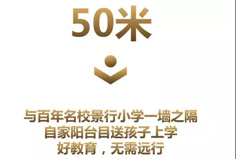 A级做爰8888888888浜引发热议,探索背后真相,揭秘情感与数字的奇妙联系 A级做爰8888888888浜引发热议,探索背后真相,揭秘情感与数字的奇妙联系