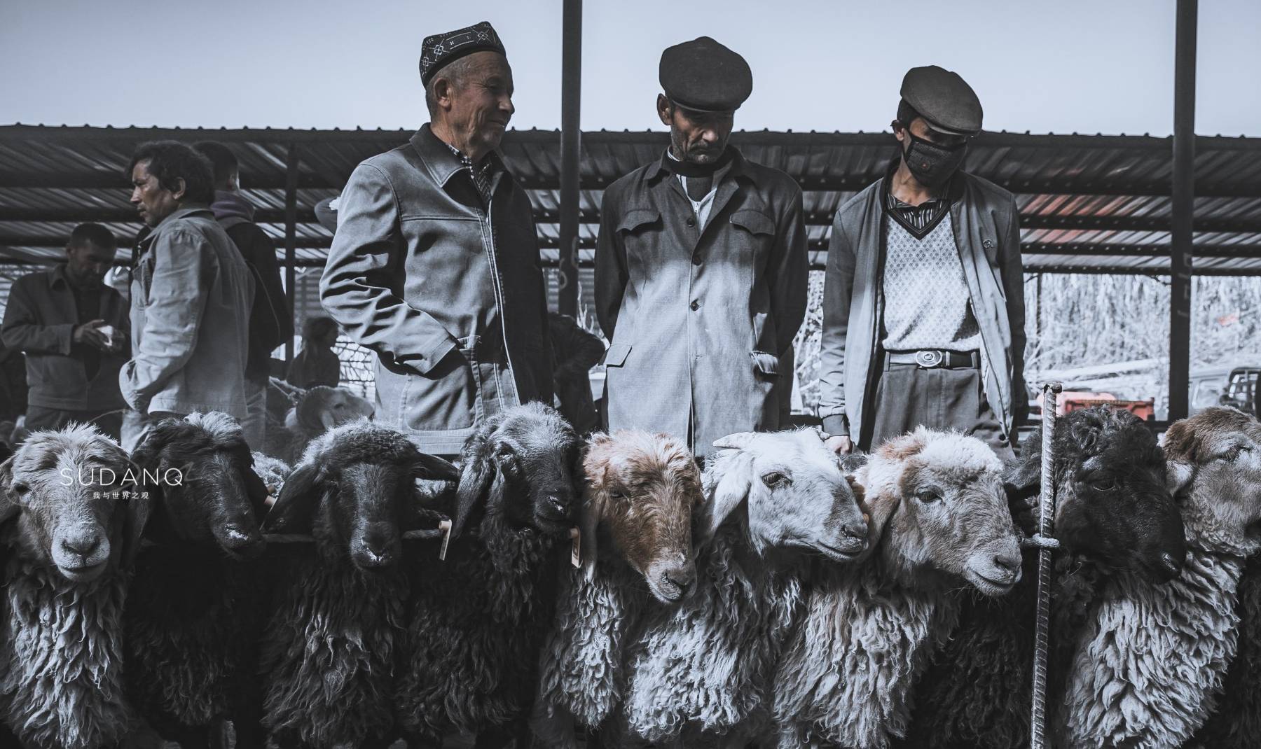 古代无码免费毛片一区二区三区探秘，高清资源在线观看，畅享经典影视佳作