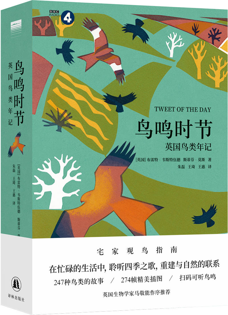 绳之韵小鹿捆绑vk展现独特艺术魅力，探索创意束缚美学，感受绳艺与自然的完美融合