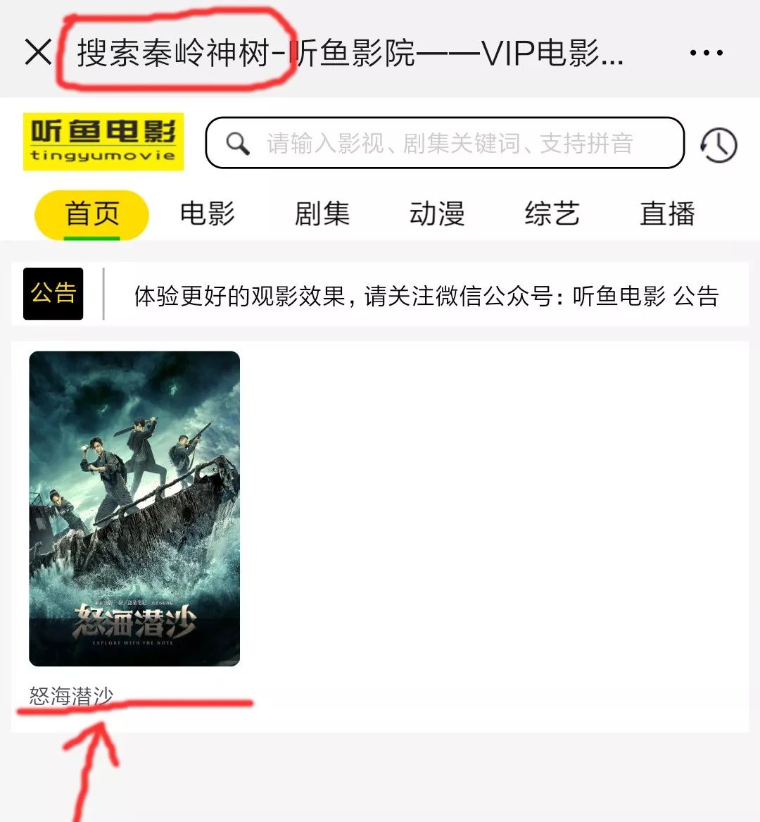 国产免费AV不卡流畅观看无广告高清资源随心选