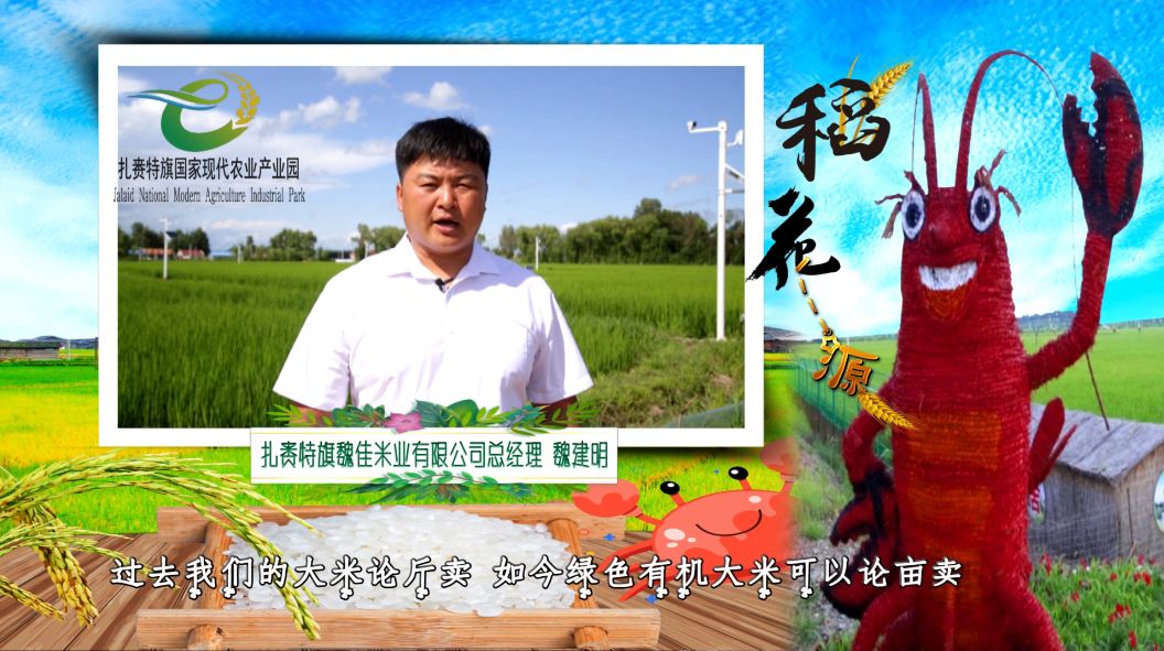 中国好太太9999，幸福婚姻的秘密，打造完美家庭生活，爱与智慧并存
