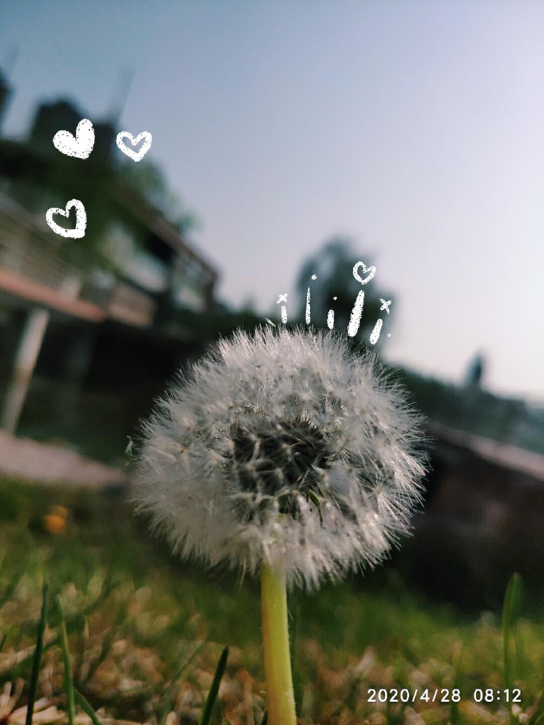 激情yV点燃生活火花，追逐梦想脚步，让每一天都充满活力与期待